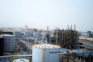 Fabrication _ Installation of Oil Unit-Arabian Company for Oil _ Derivatives Suez Plant -1